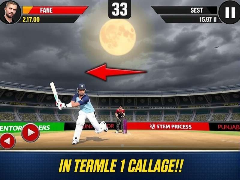 Punjab Predators Game Screenshot